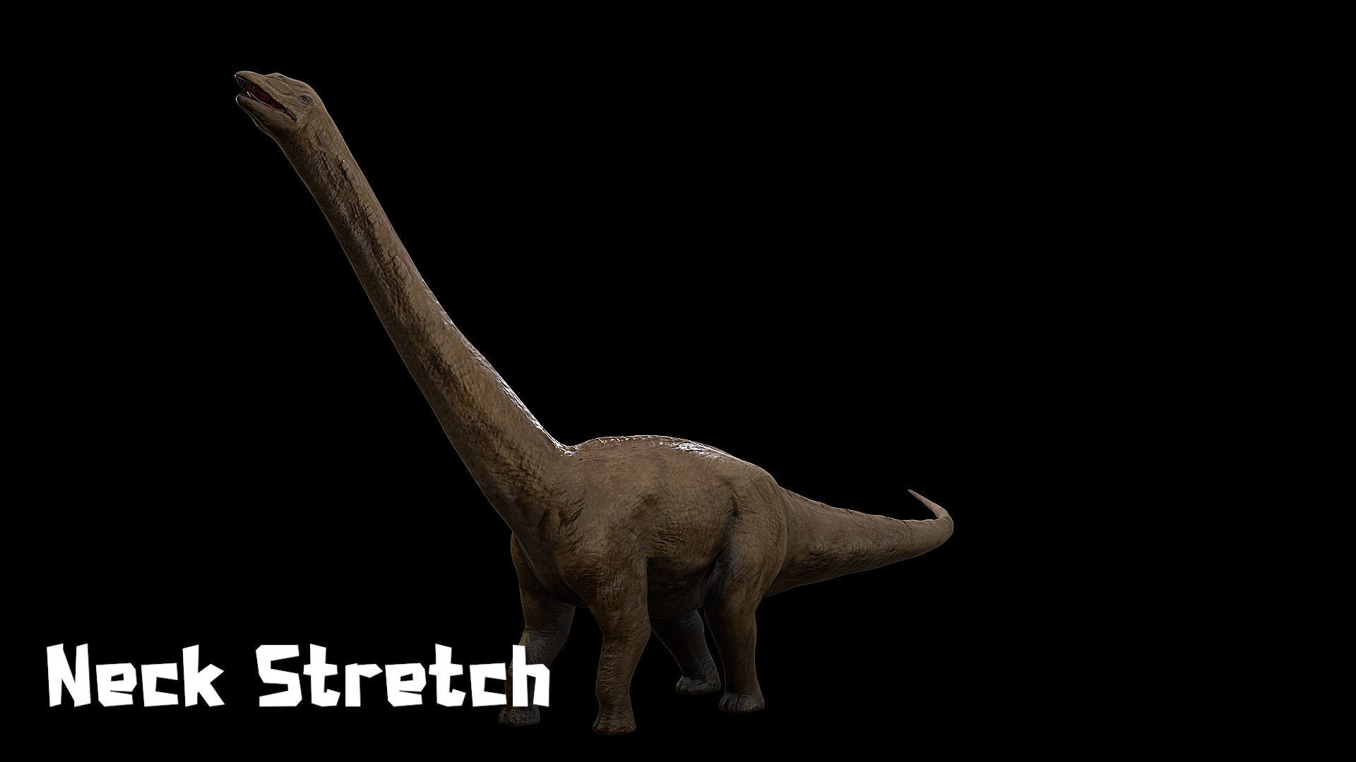 Sauropoda - Long Neck Dinosaur Low-poly 3D model_29