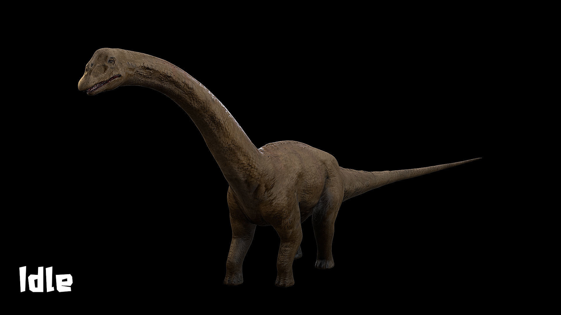 Sauropoda - Long Neck Dinosaur Low-poly 3D model_9