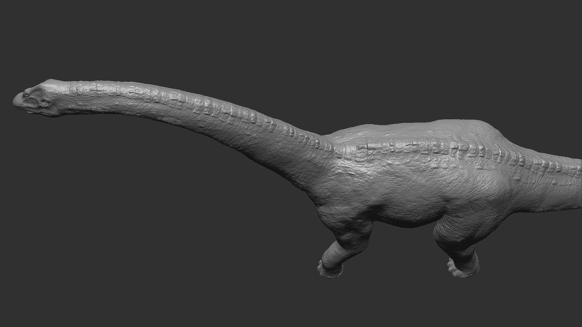 Sauropoda - Long Neck Dinosaur Low-poly 3D model_14