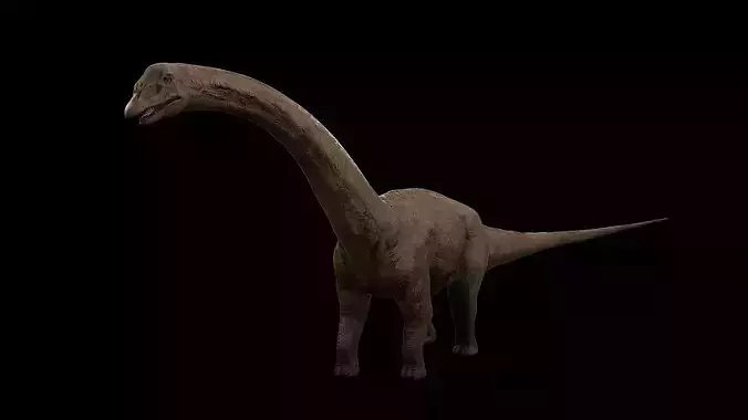 Sauropoda - Long Neck Dinosaur Low-poly 3D model