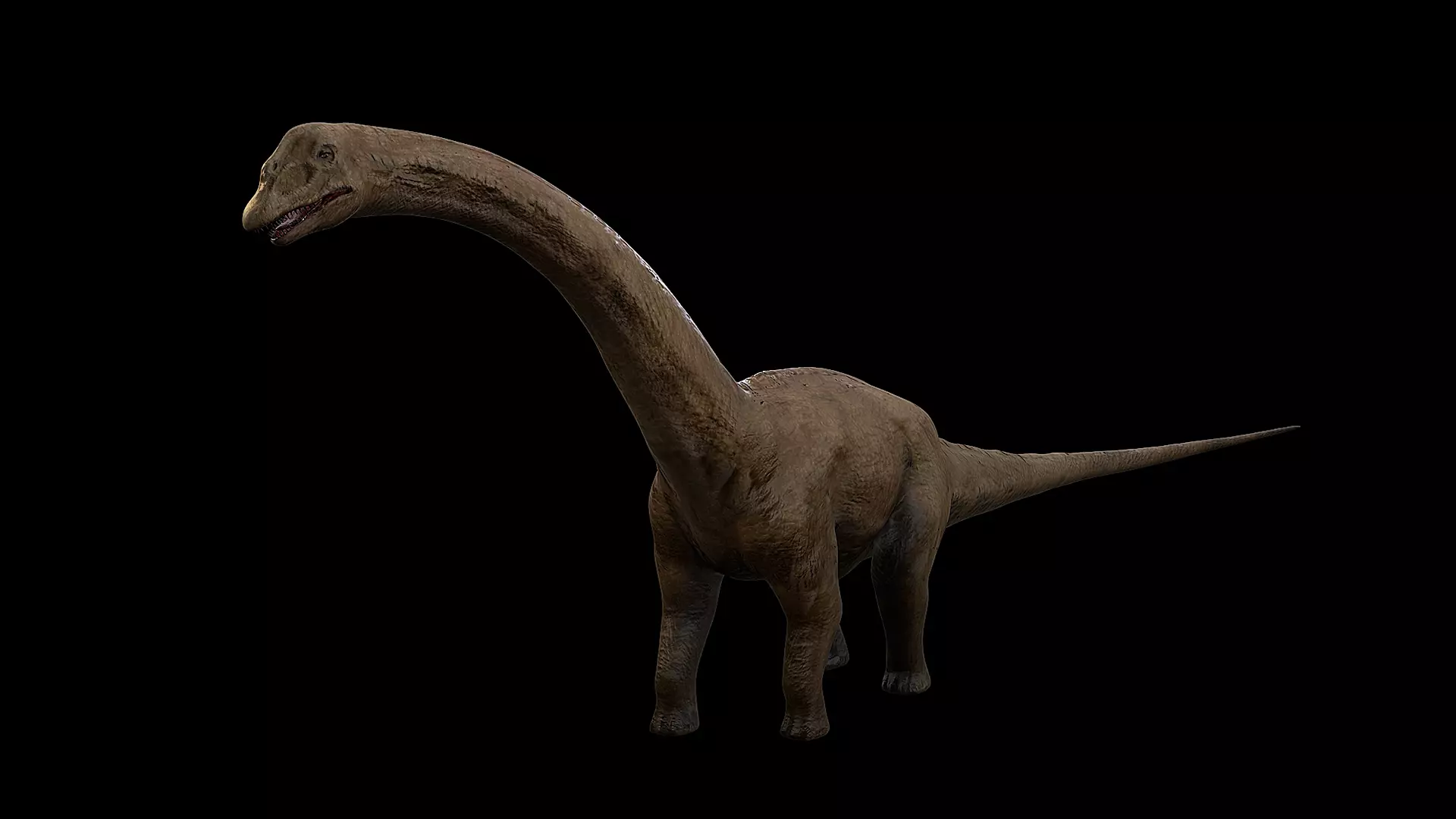 Sauropoda - Long Neck Dinosaur Low-poly 3D model_0