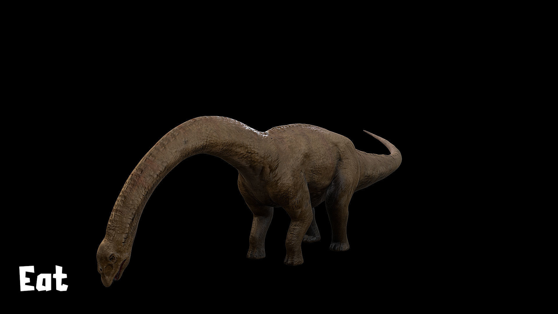 Sauropoda - Long Neck Dinosaur Low-poly 3D model_27