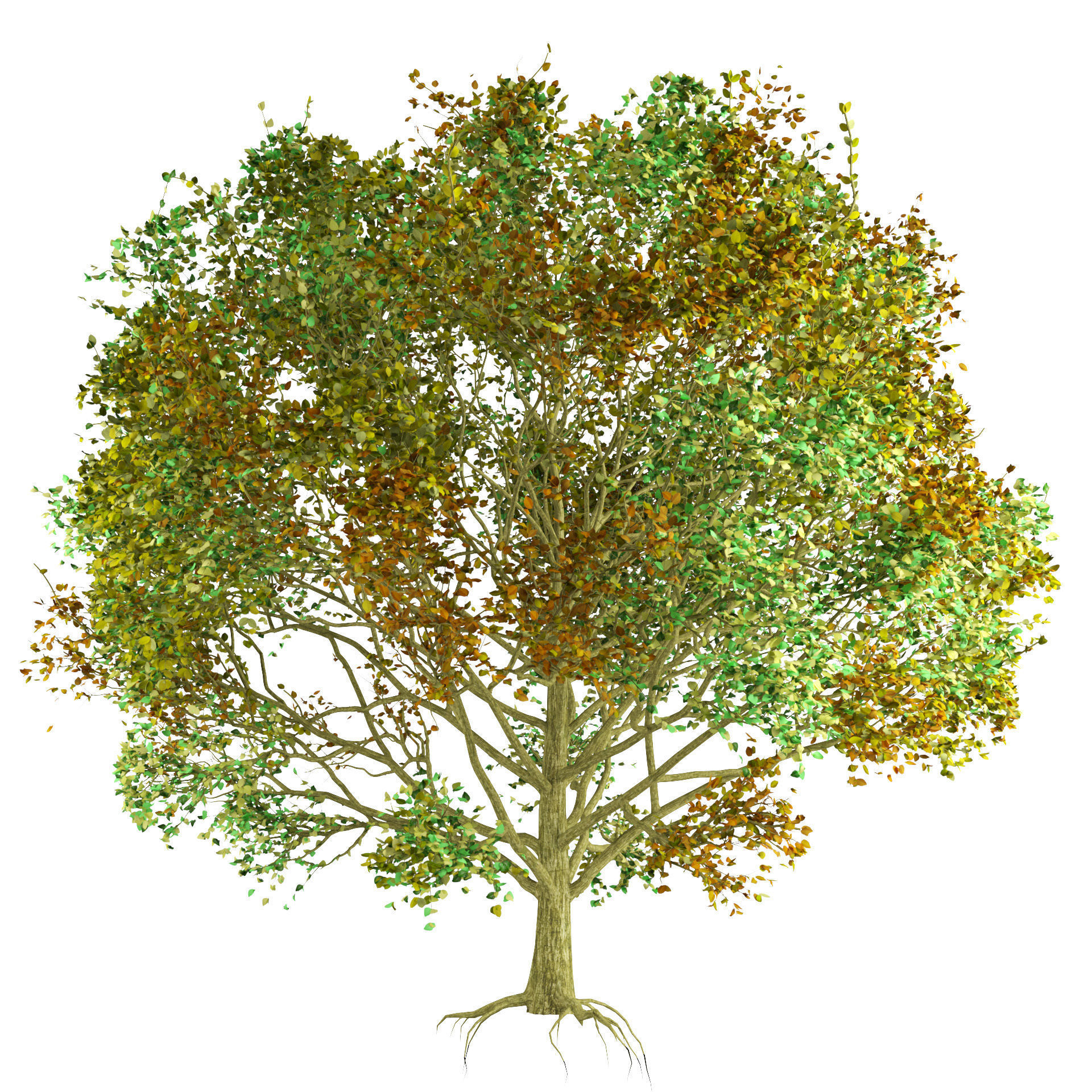 High-Quality 3D colorful Tree Models 3D model_4