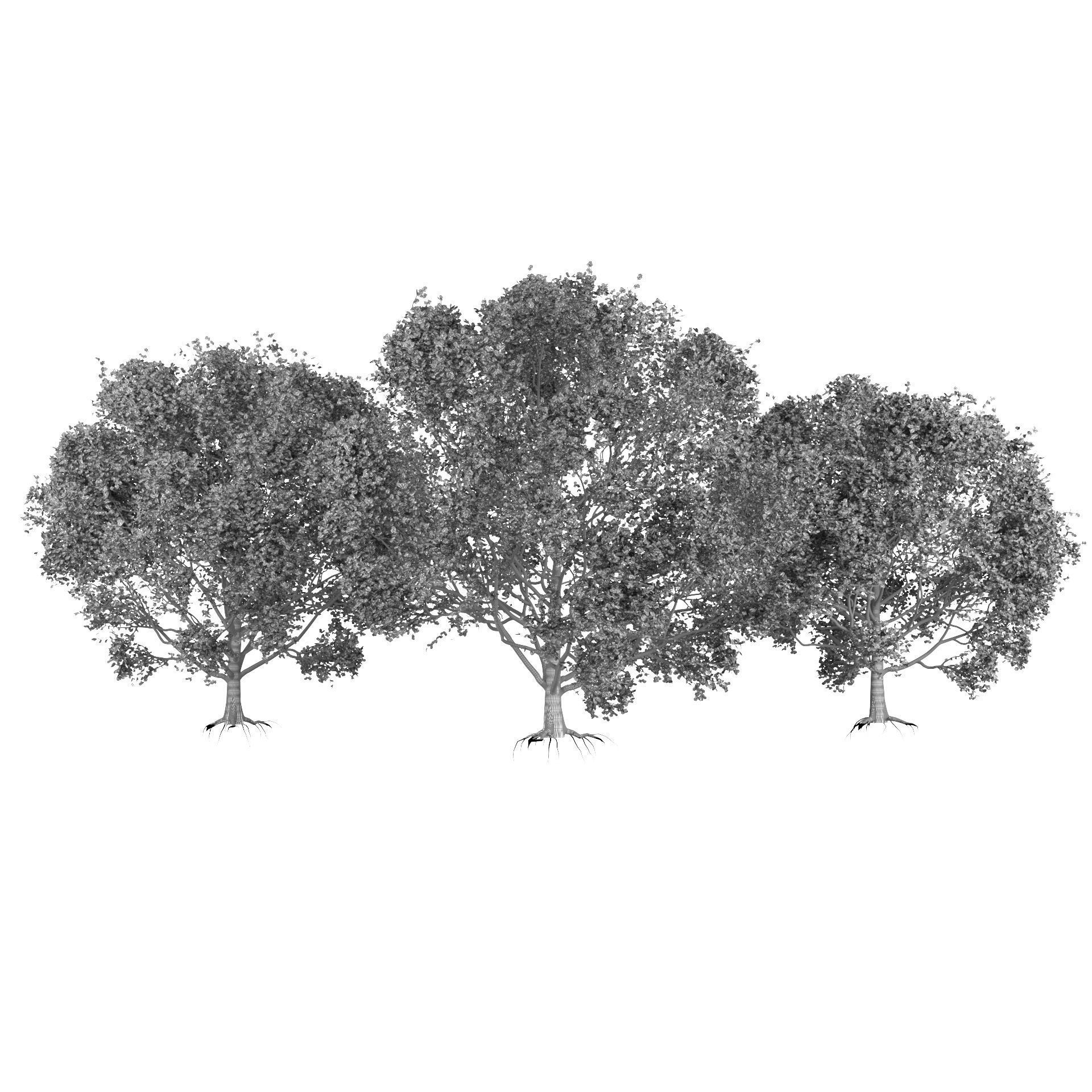 High-Quality 3D colorful Tree Models 3D model_6