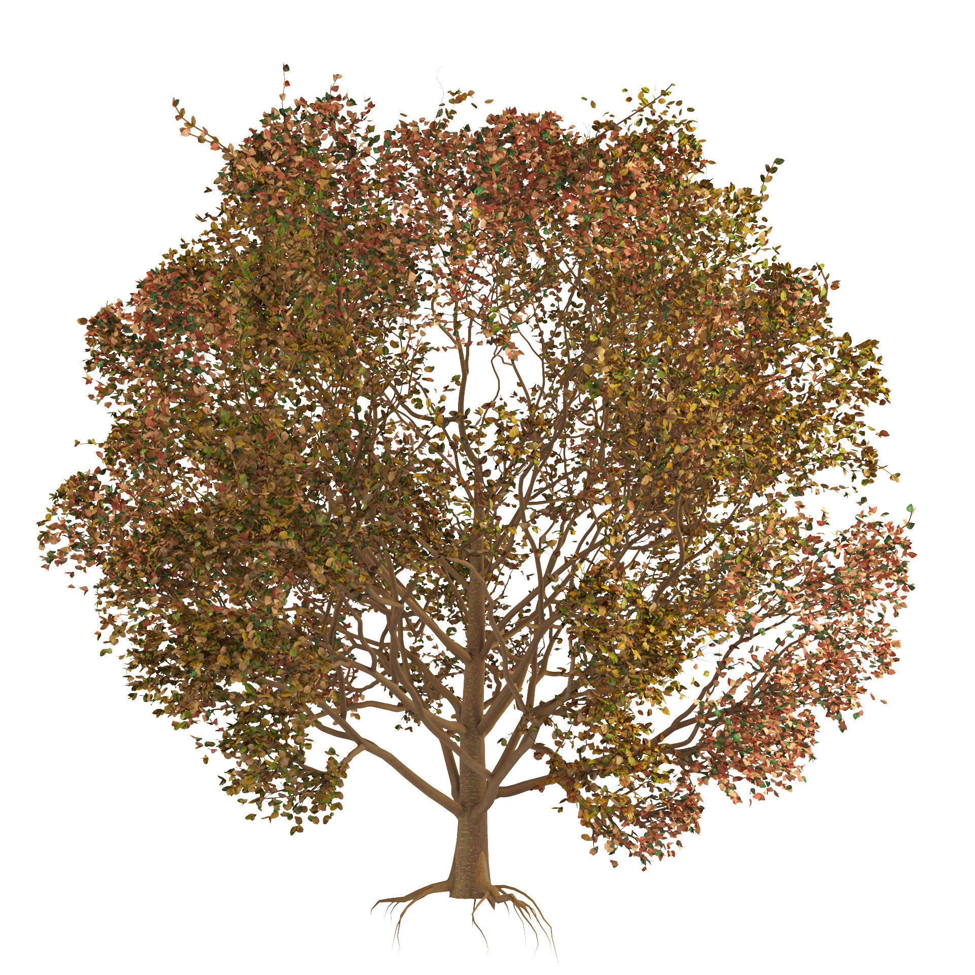 High-Quality 3D colorful Tree Models 3D model_2
