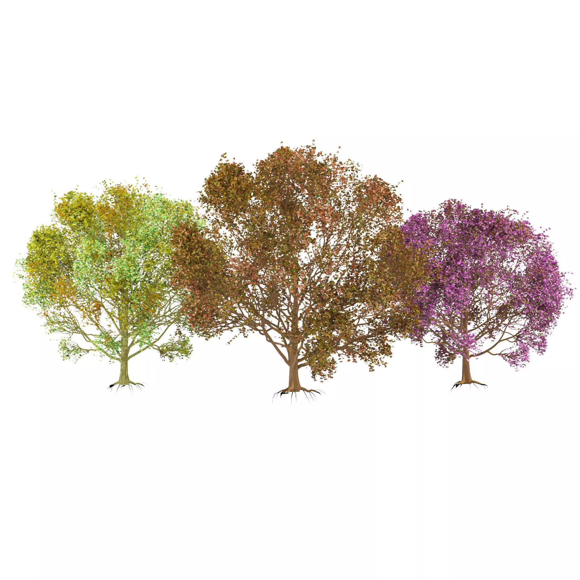 High-Quality 3D colorful Tree Models 3D model_0