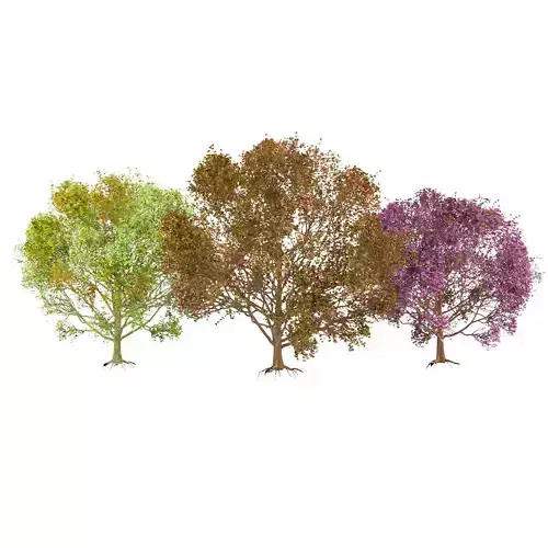 High-Quality 3D colorful Tree Models 3D model