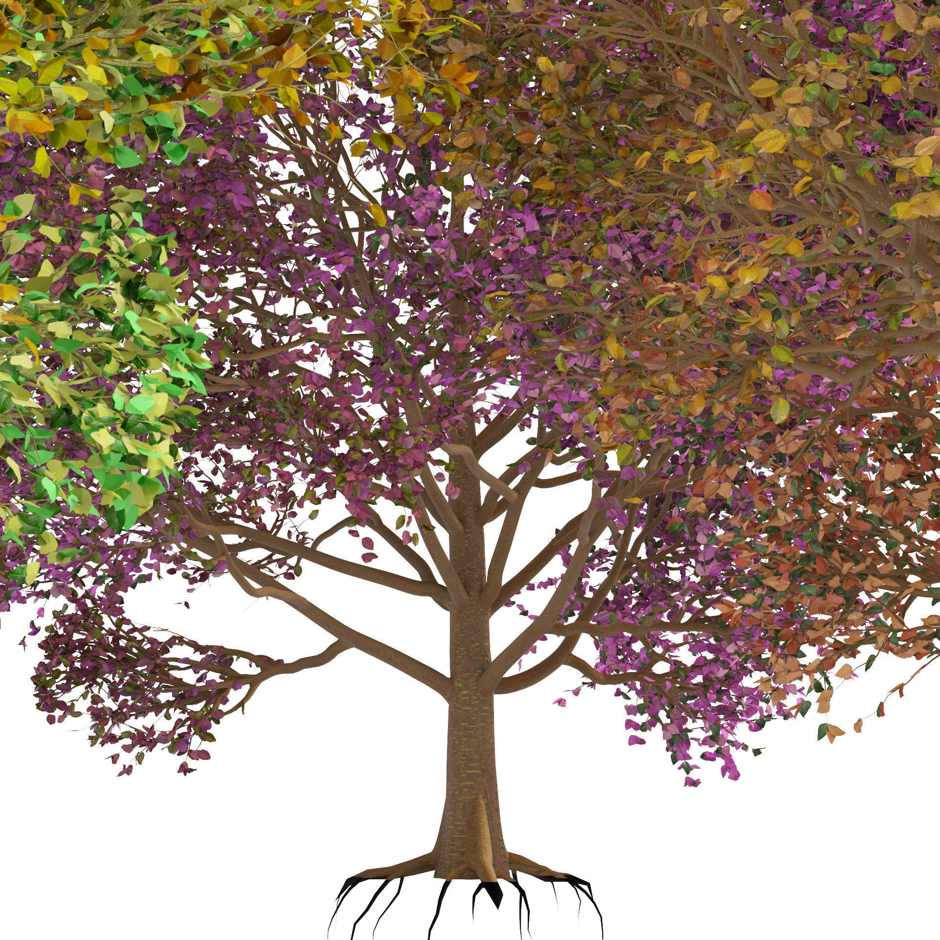 High-Quality 3D colorful Tree Models 3D model_5
