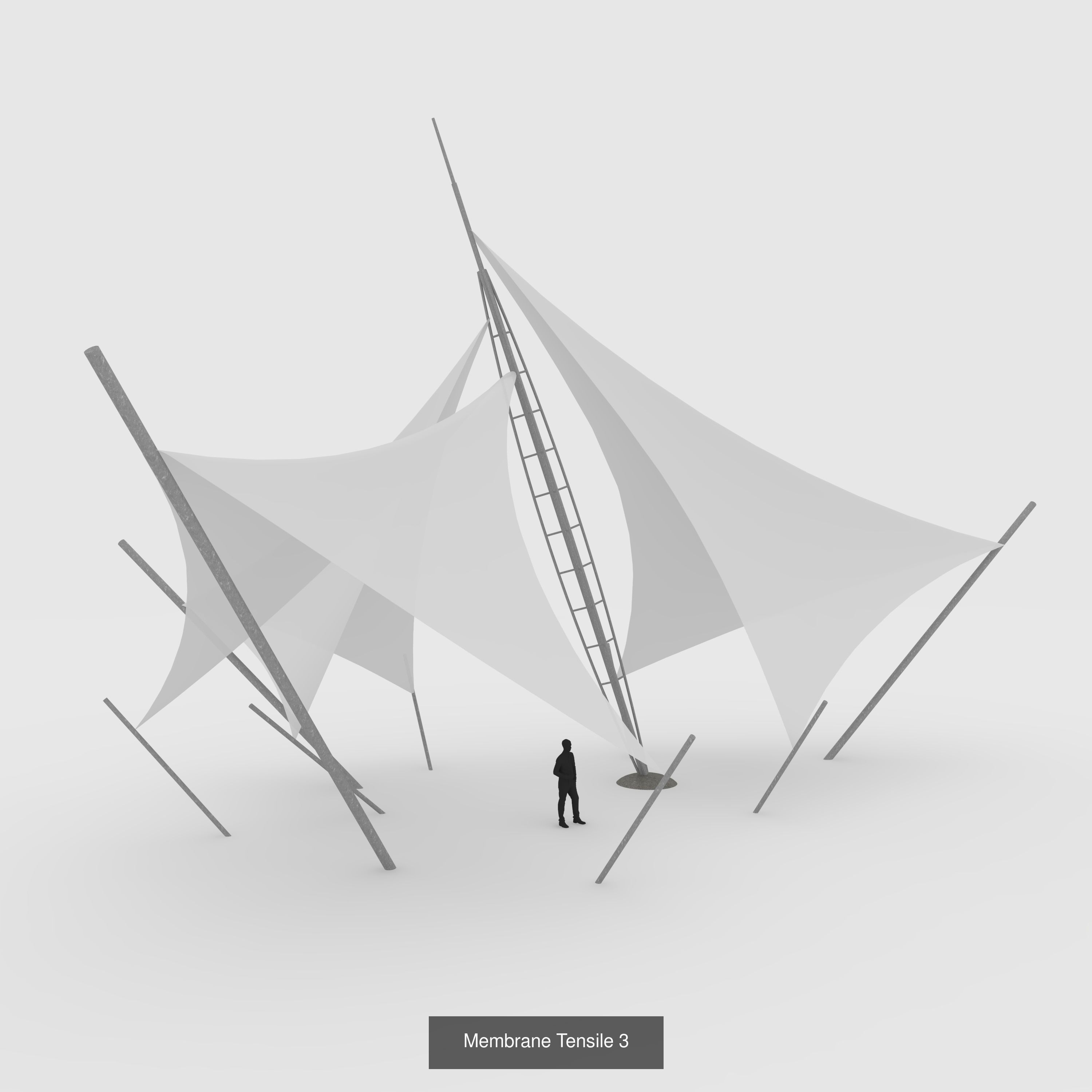 Collection Membrane Tensile 1 _3