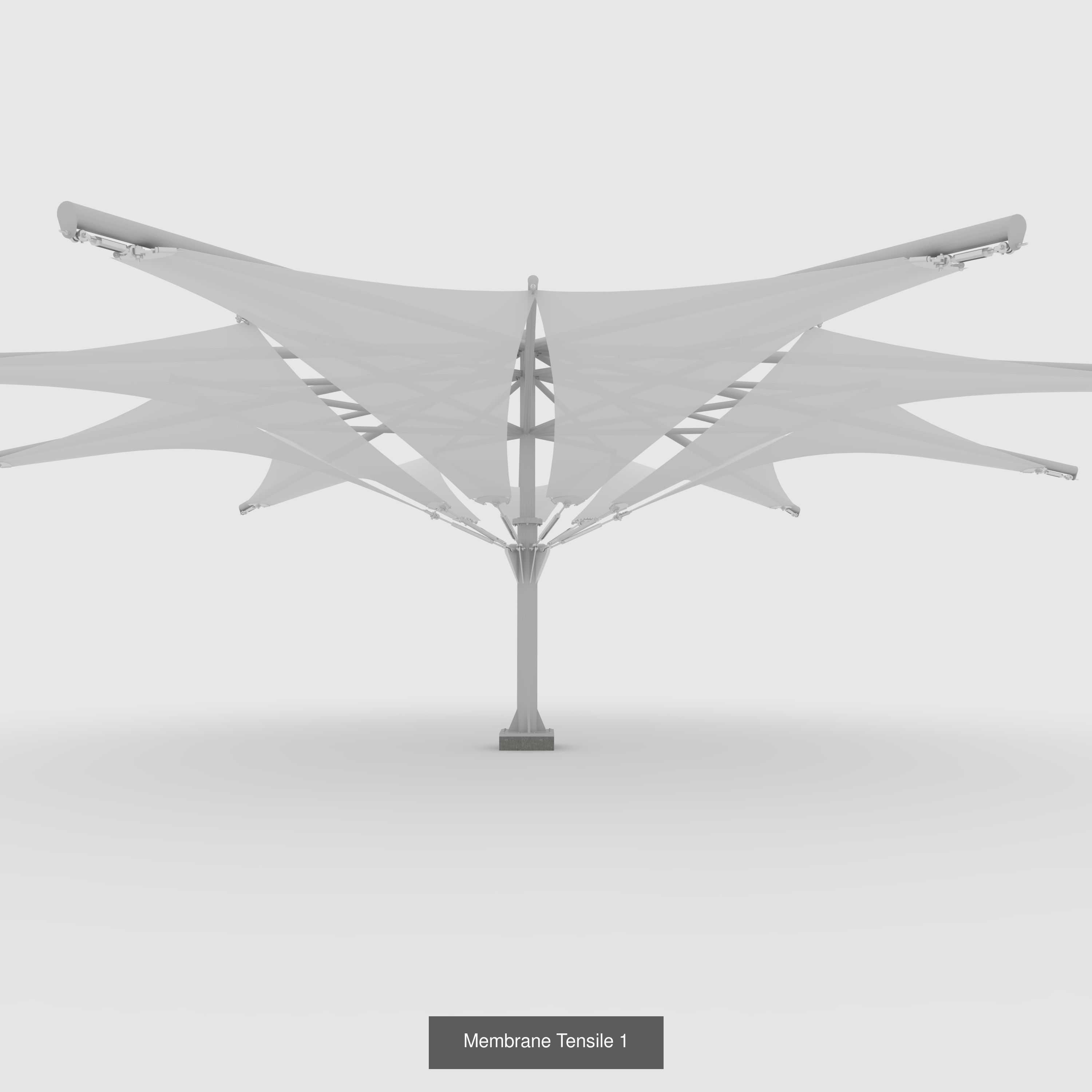 Collection Membrane Tensile 1 _1