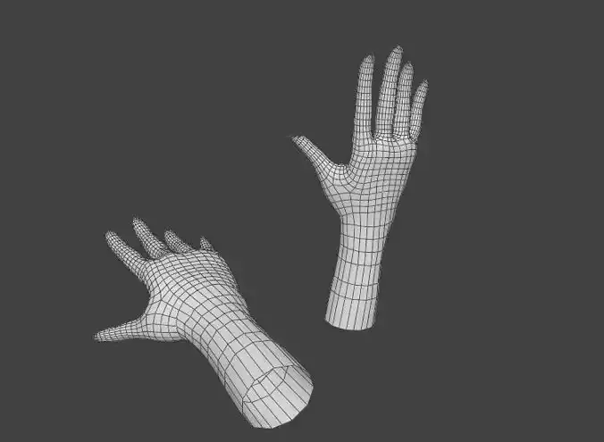 Basic Female Hand -  Great Retopology Low-poly 3D model
