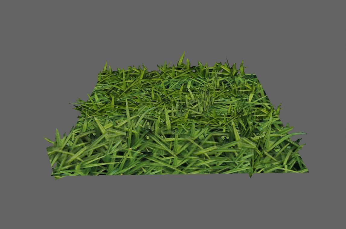 Grass Simple for Games - Grama Low-poly 3D model_4