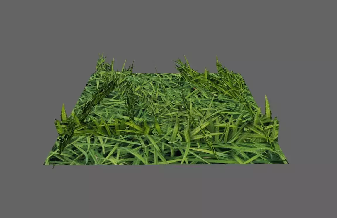Grass Simple for Games - Grama Low-poly 3D model_0