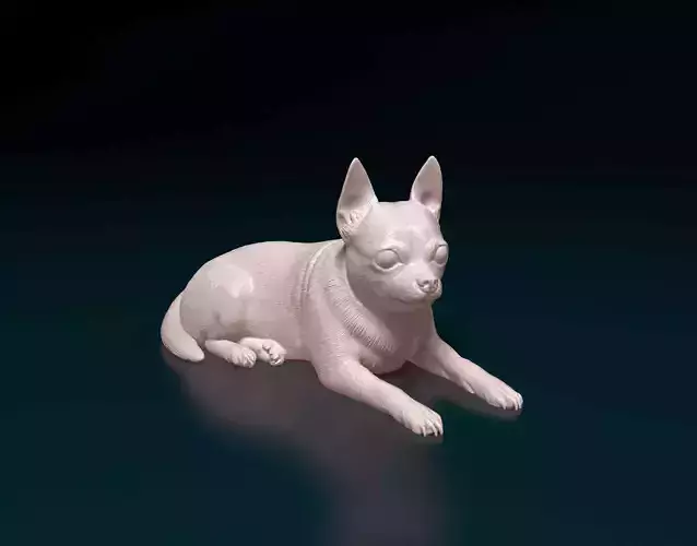 Chihuahua 08 3D print model