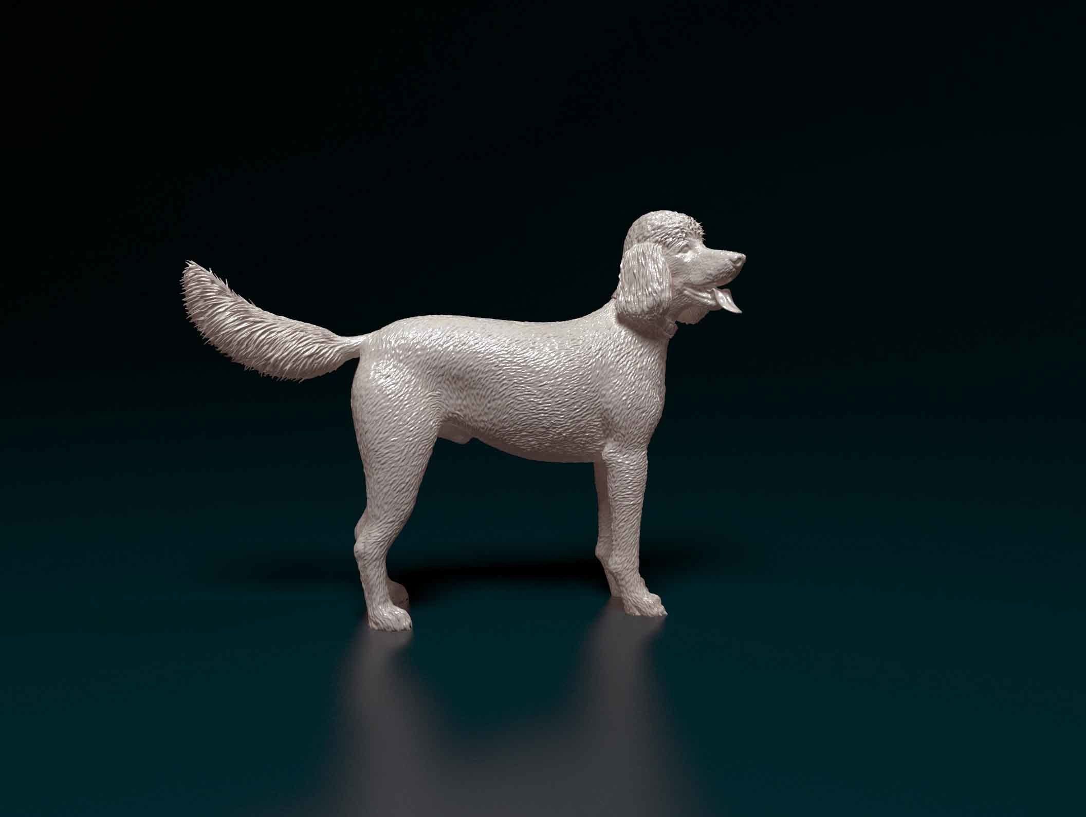 Poodle 06 3D print model_1