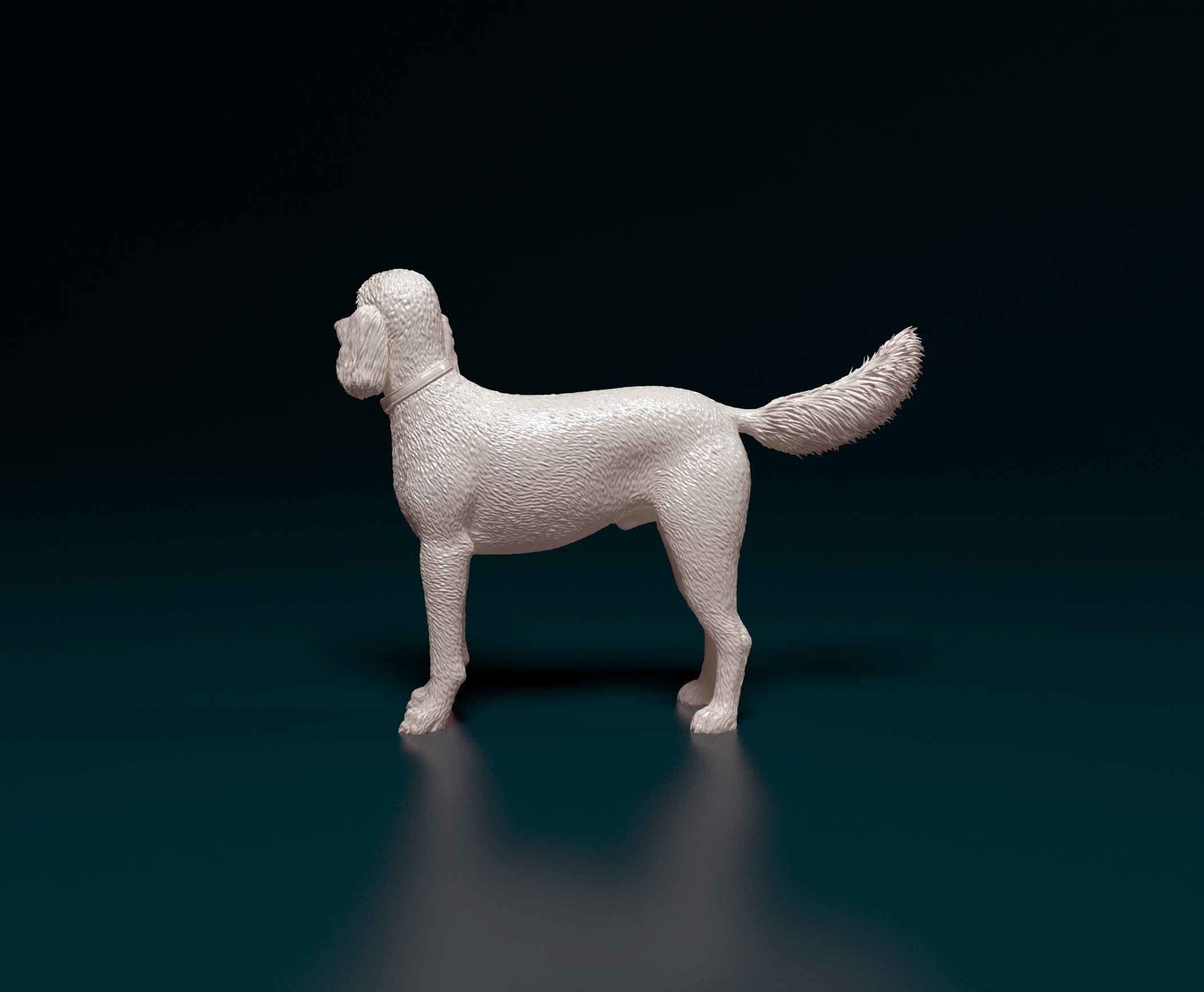 Poodle 06 3D print model_4