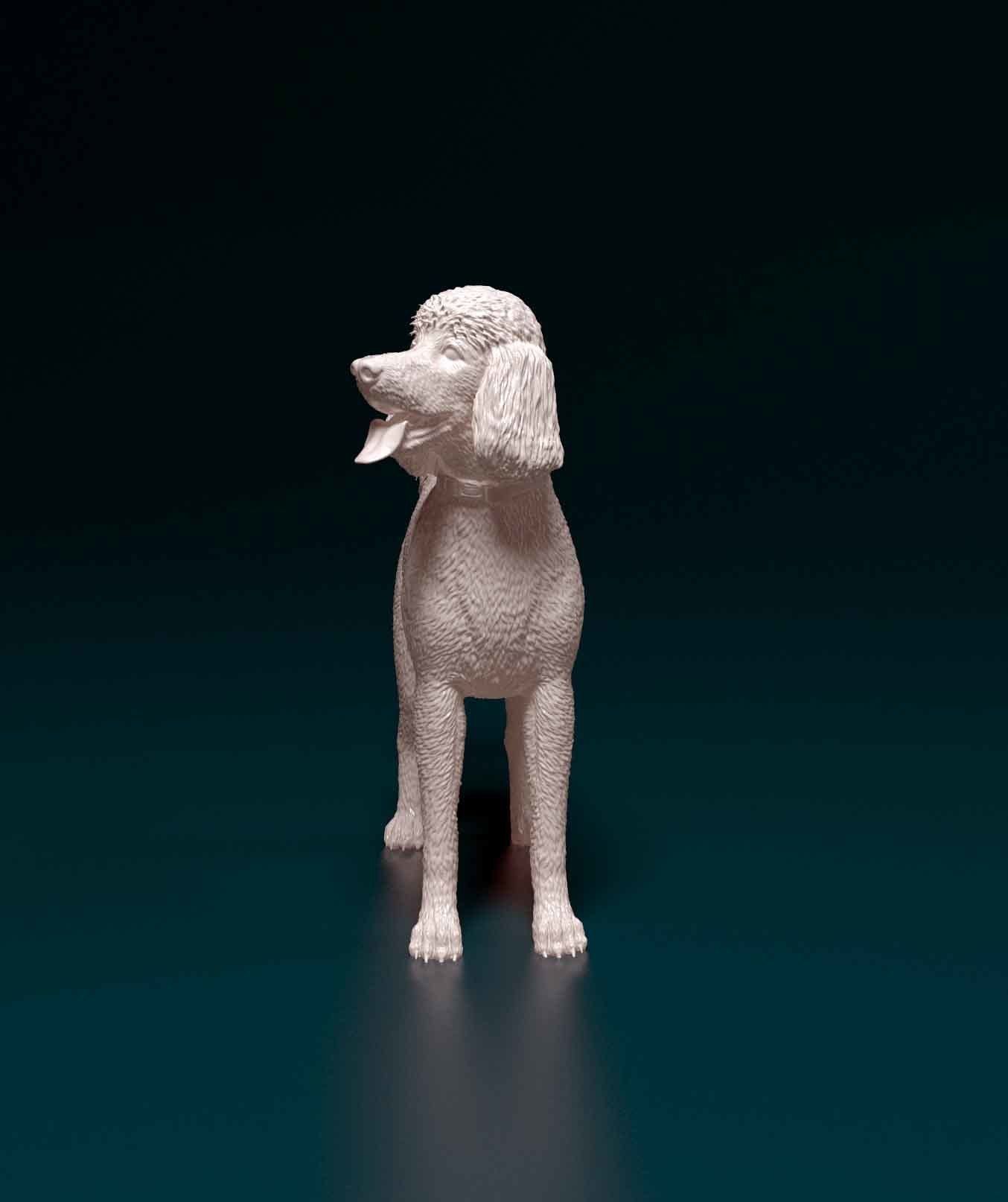 Poodle 06 3D print model_2