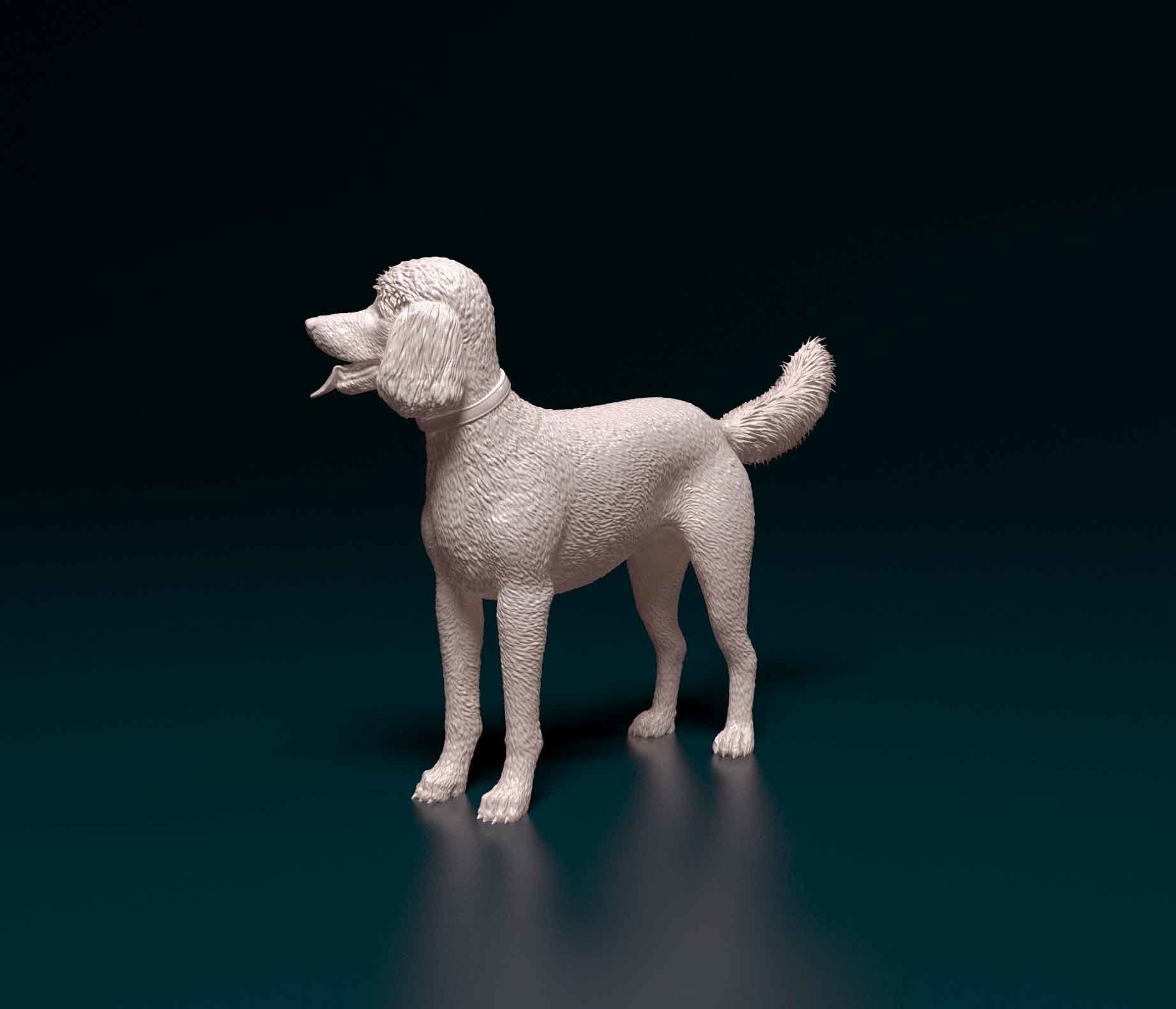 Poodle 06 3D print model_3