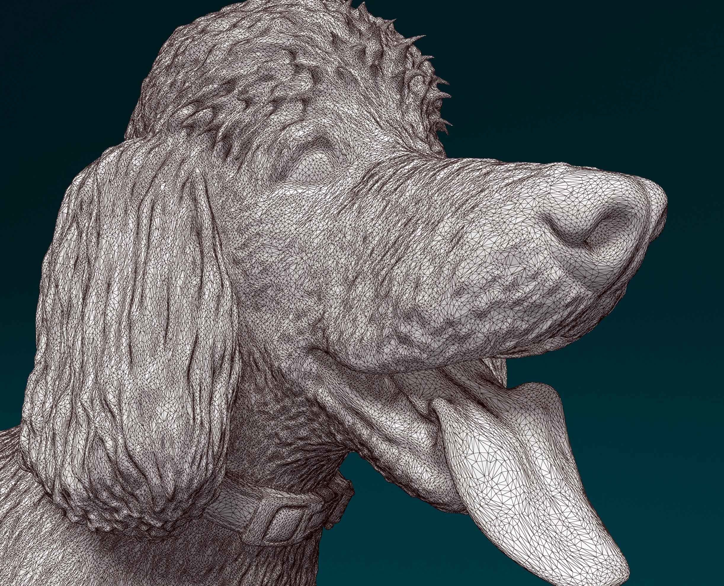 Poodle 06 3D print model_6