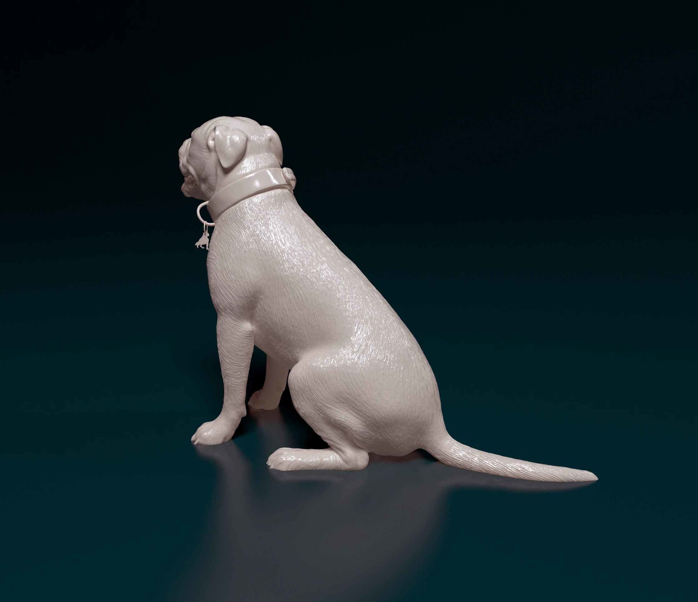American Pitbull 3D print model_4