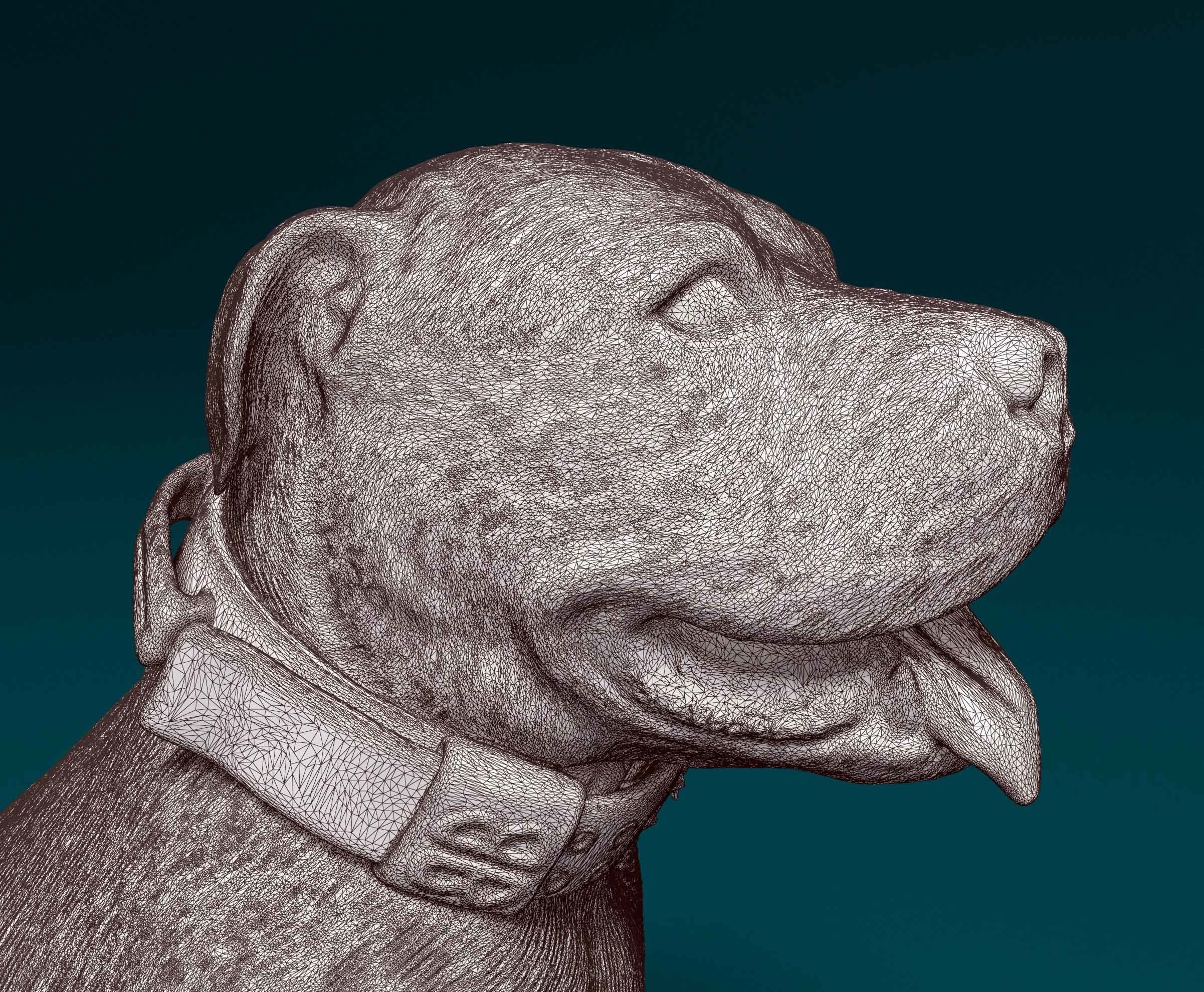 American Pitbull 3D print model_7