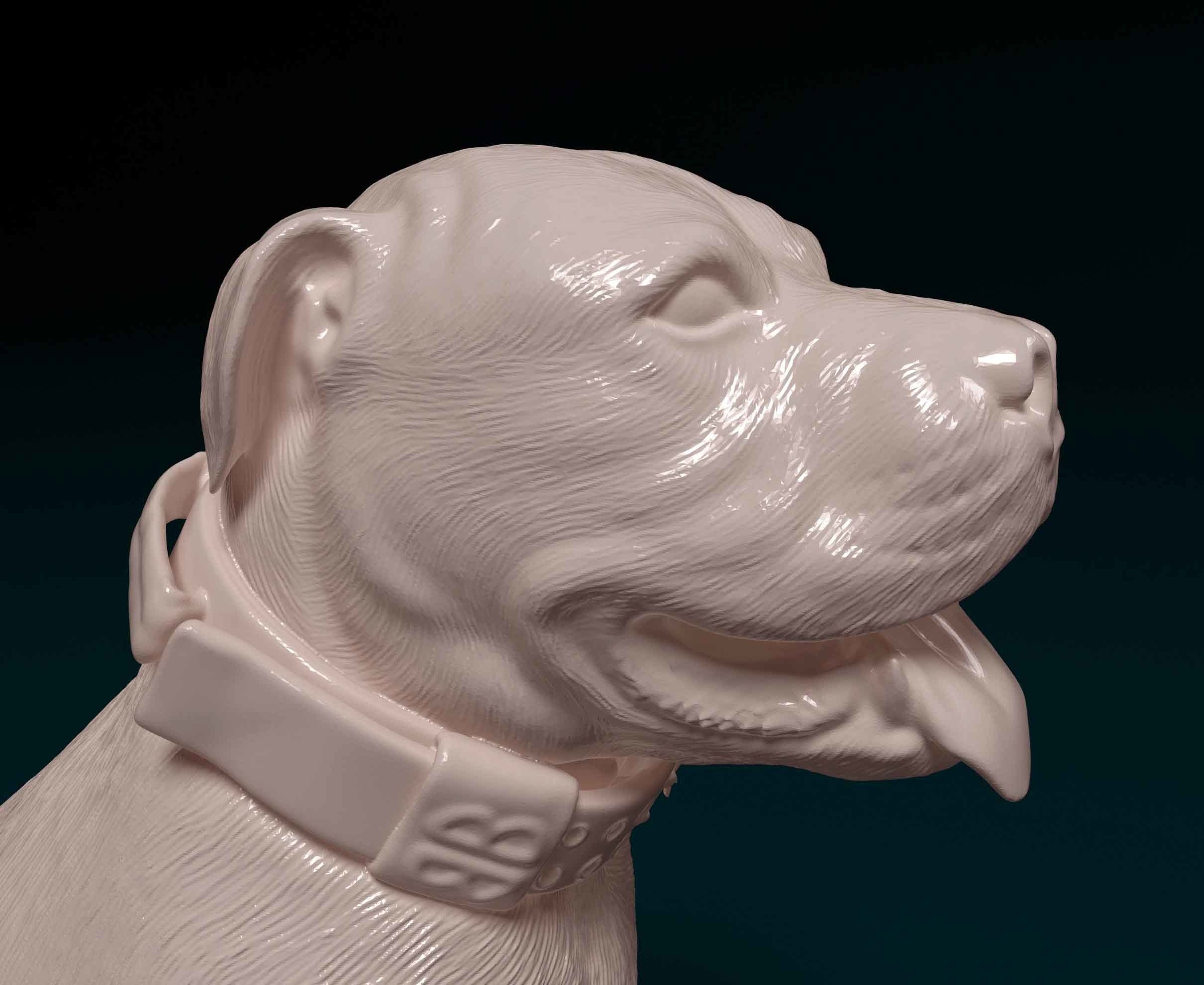American Pitbull 3D print model_6