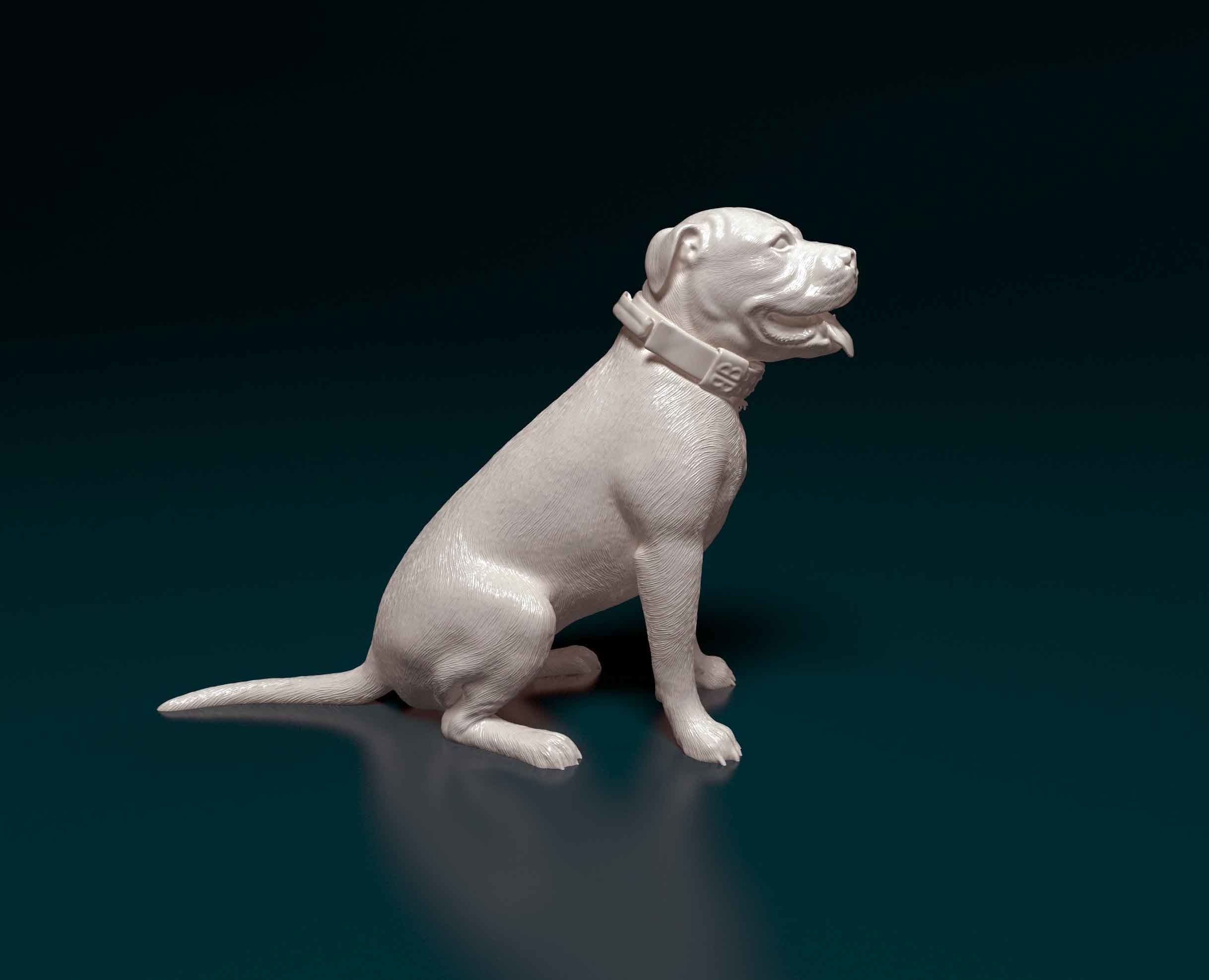 American Pitbull 3D print model_1