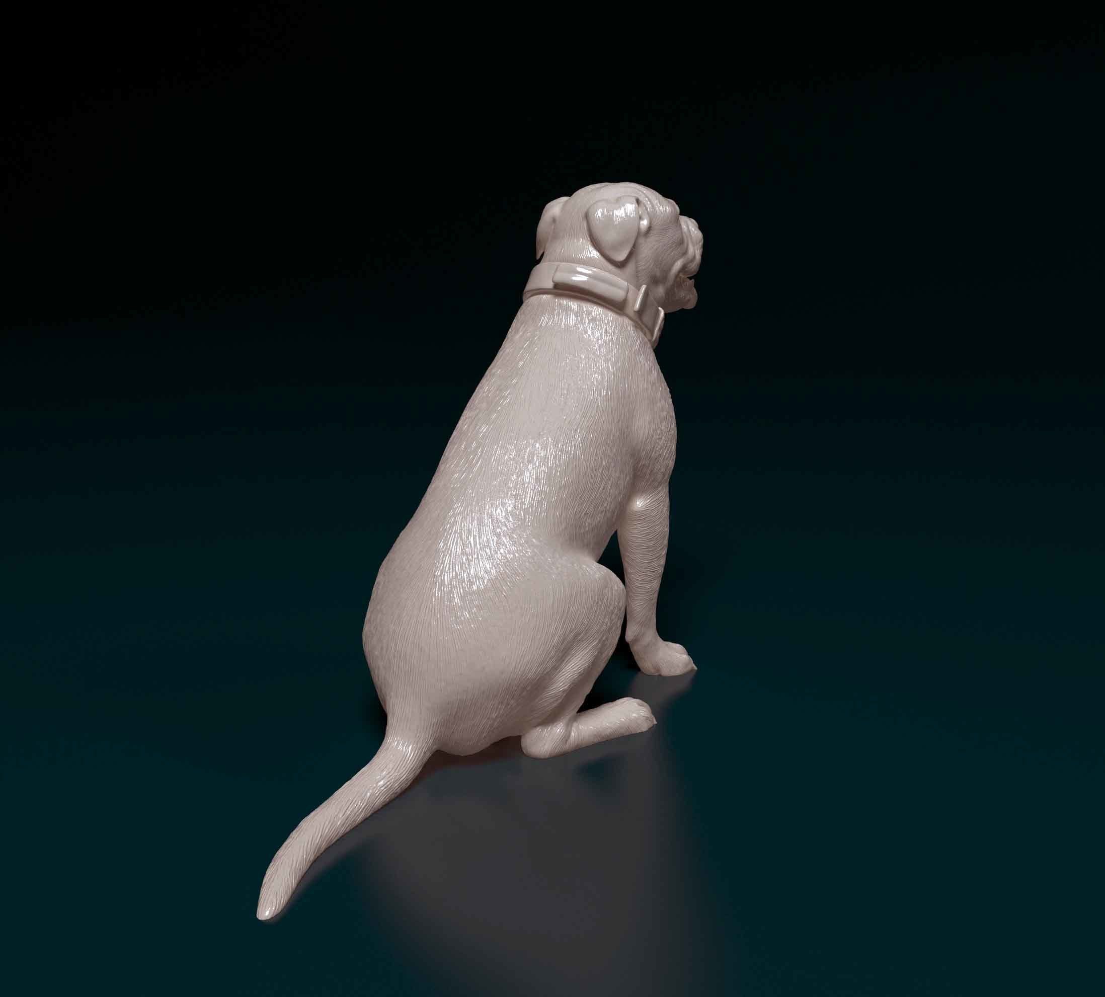 American Pitbull 3D print model_2