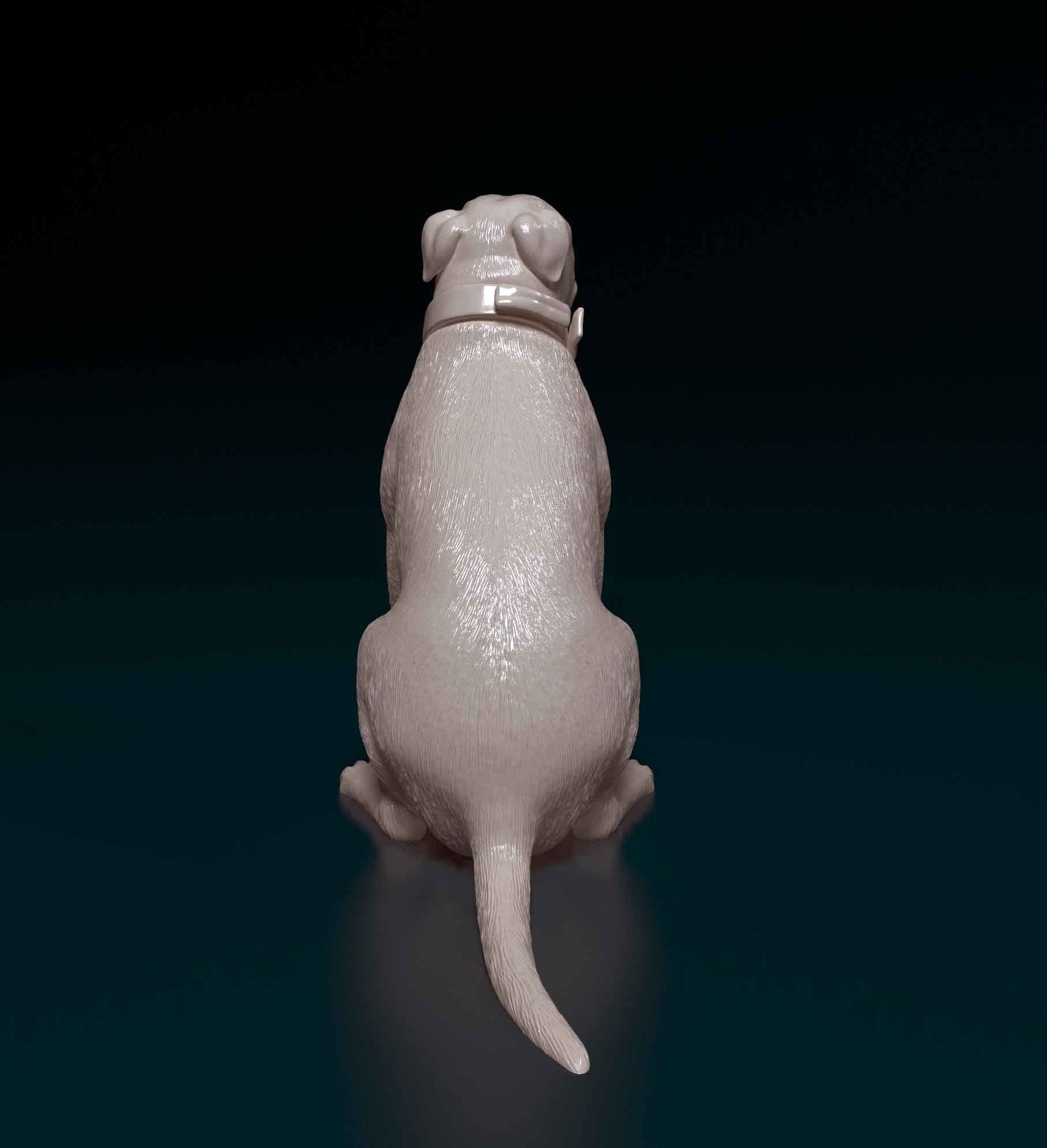 American Pitbull 3D print model_3