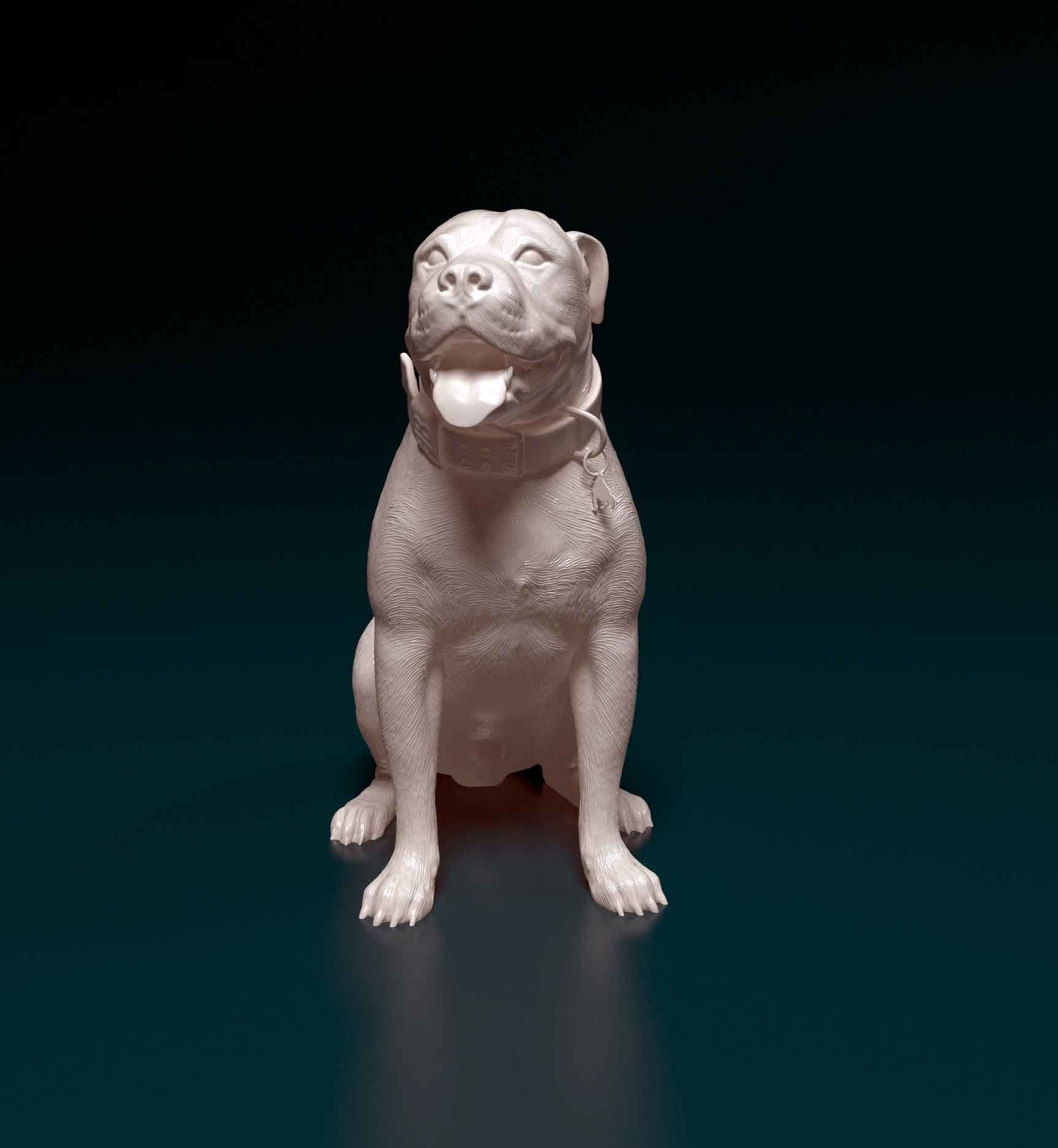 American Pitbull 3D print model_5