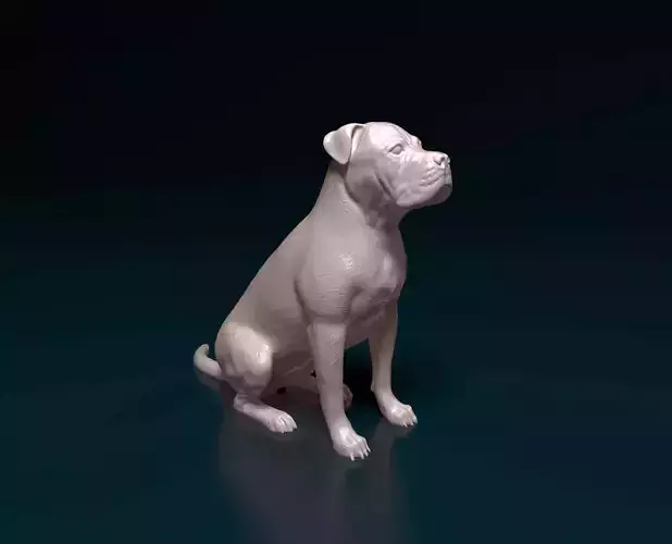 American Pitbull 09 3D print model
