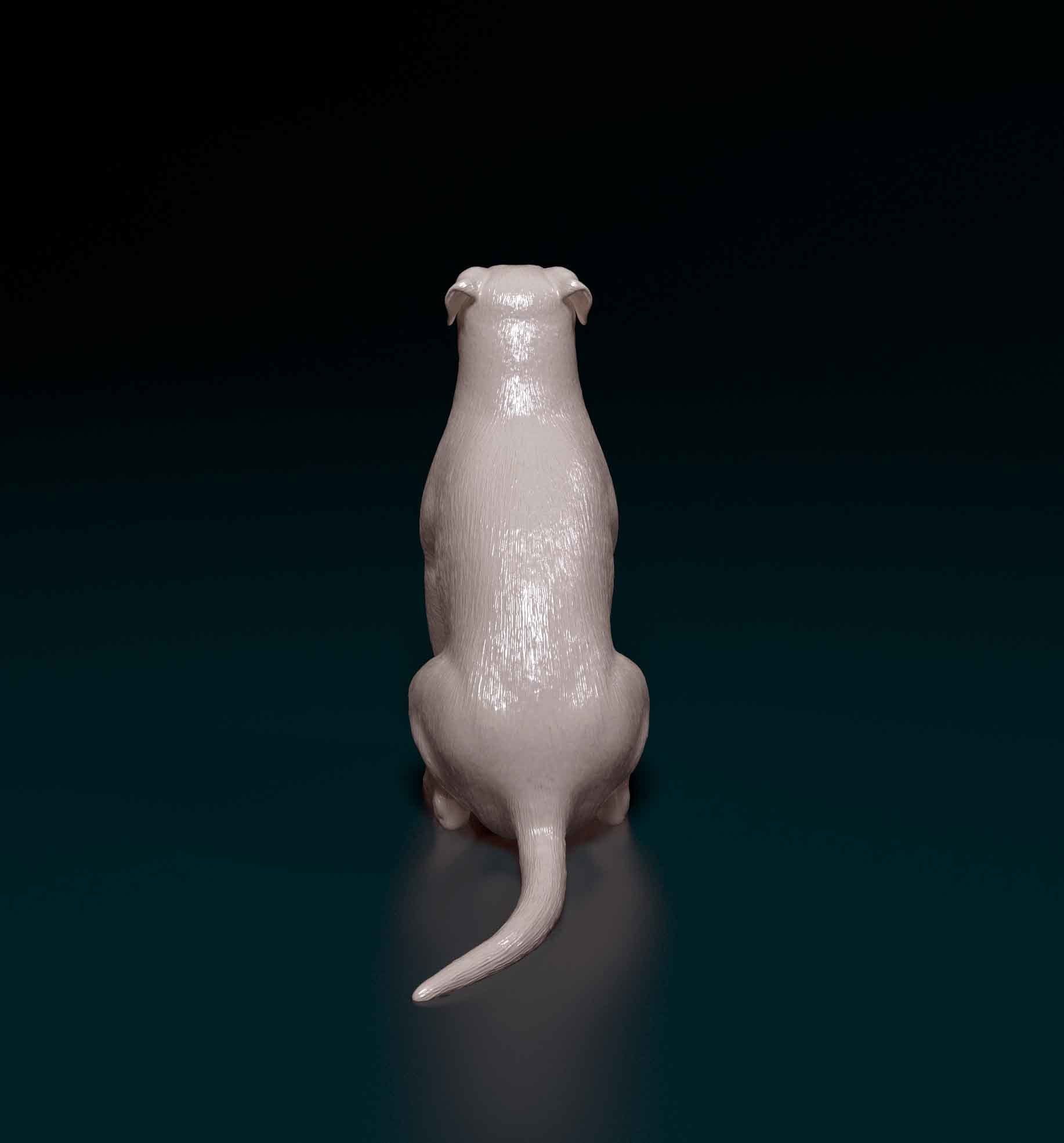 American Pitbull 09 3D print model_3