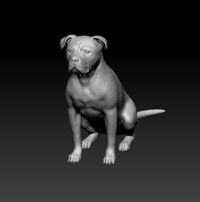 American Pitbull 09 3D print model_8