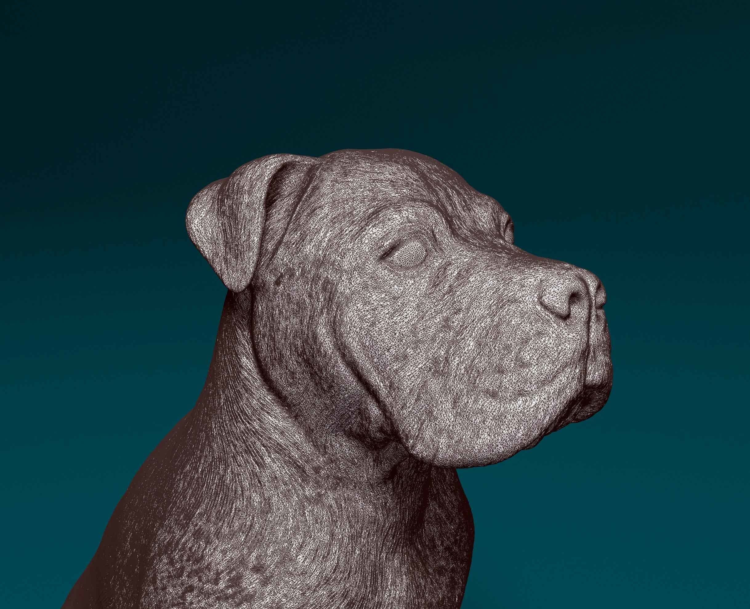 American Pitbull 09 3D print model_7