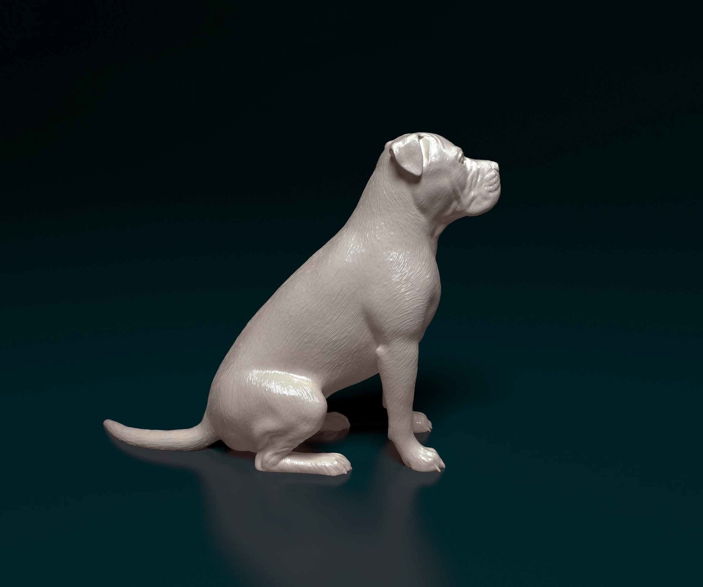 American Pitbull 09 3D print model_1