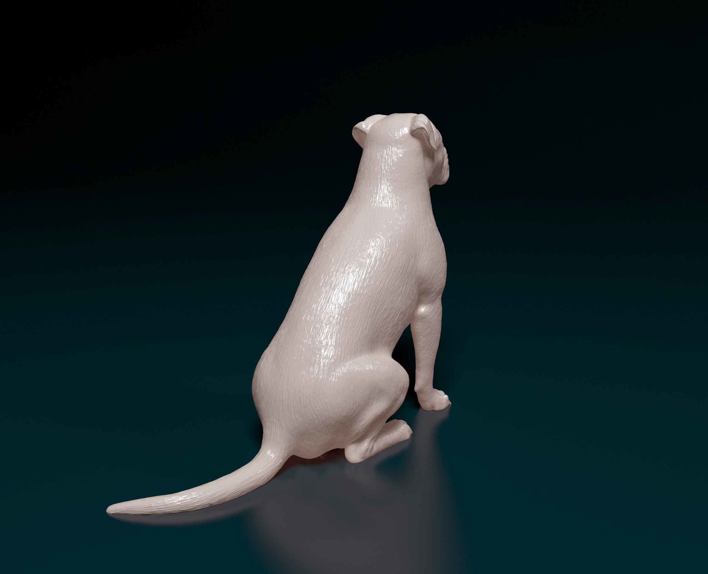 American Pitbull 09 3D print model_2