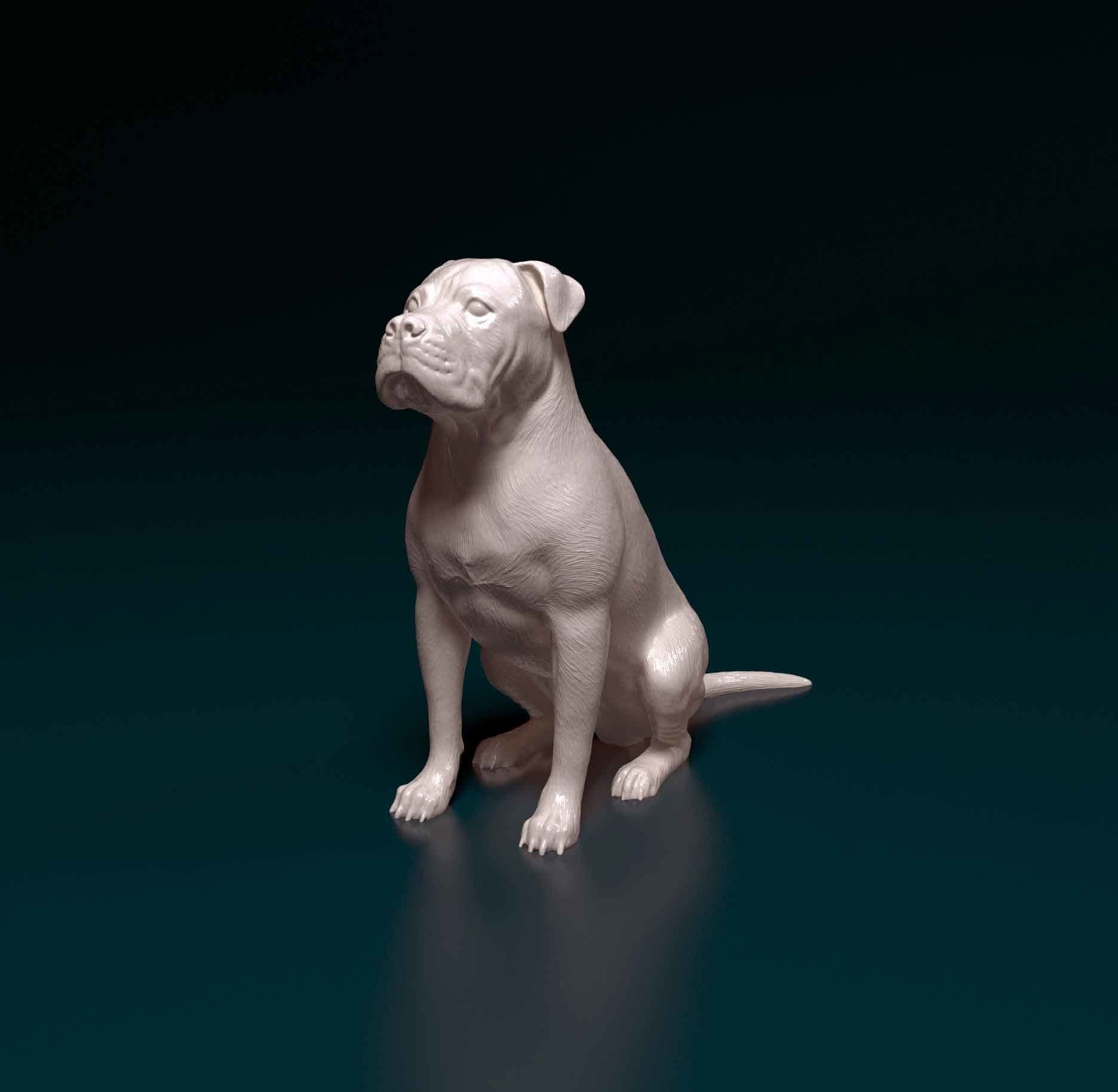 American Pitbull 09 3D print model_5