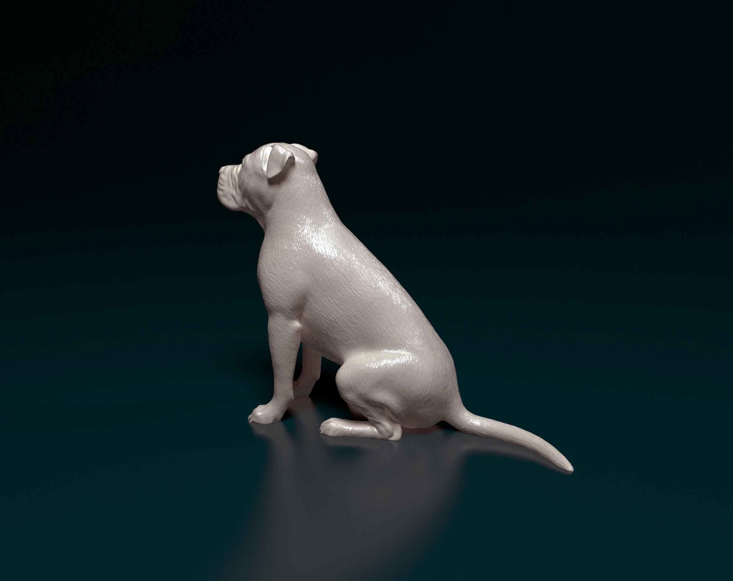American Pitbull 09 3D print model_4