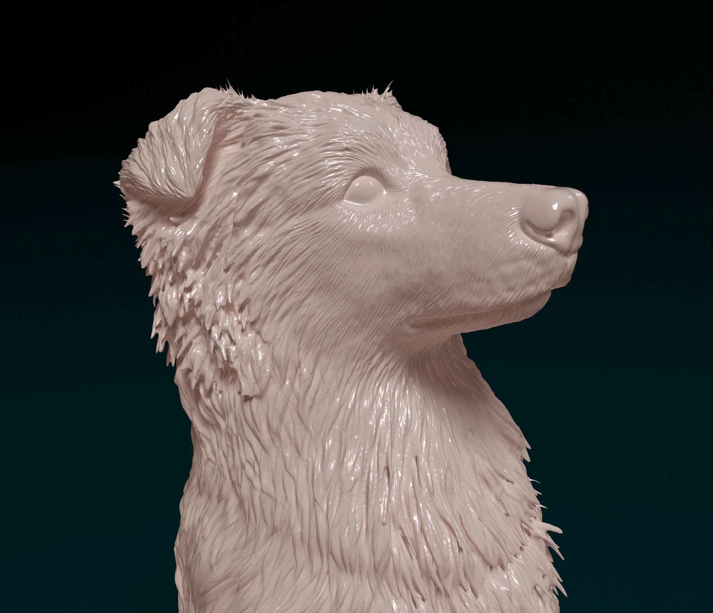 Australian kelpie dog 3D print model_5