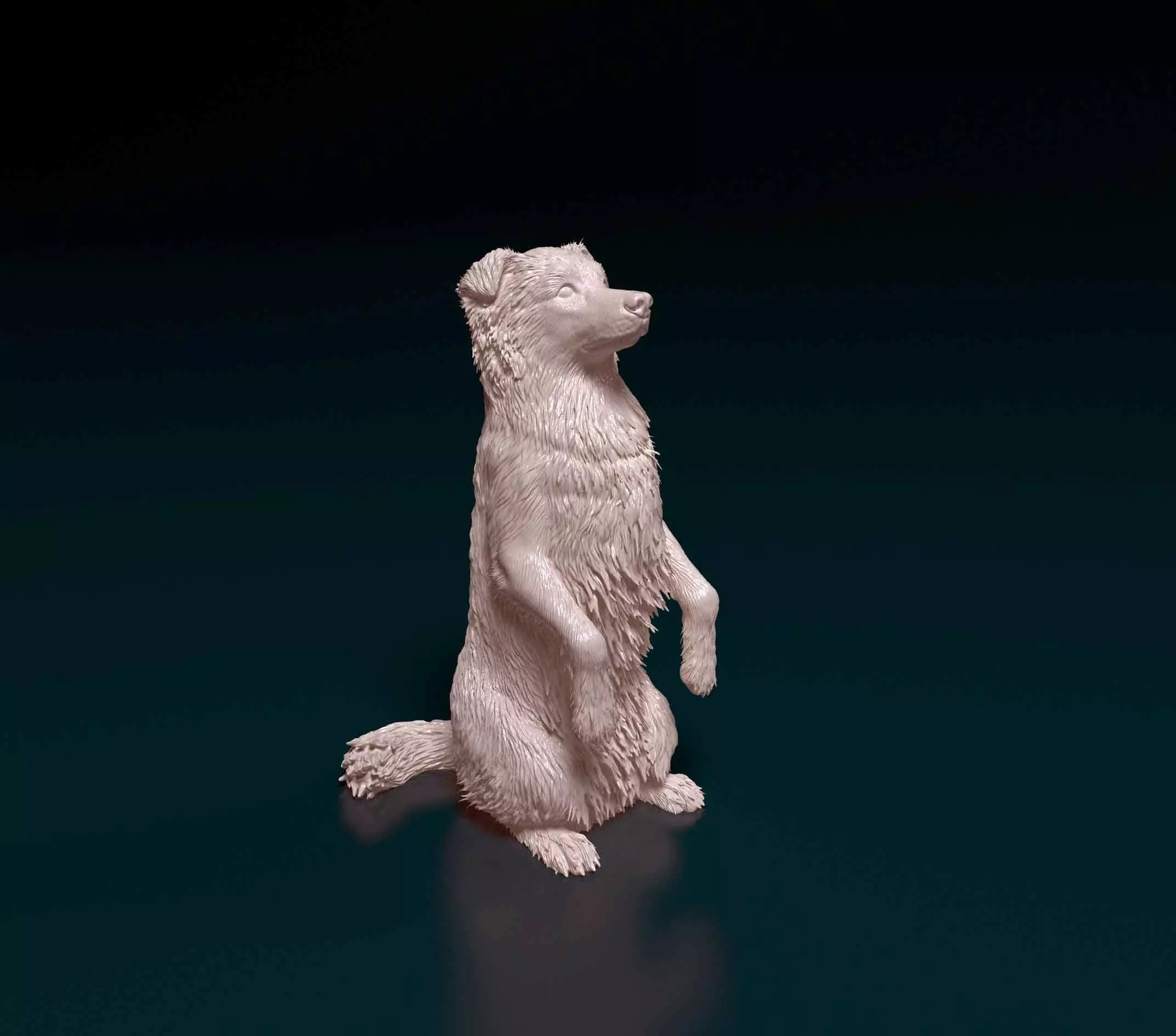 Australian kelpie dog 3D print model_0