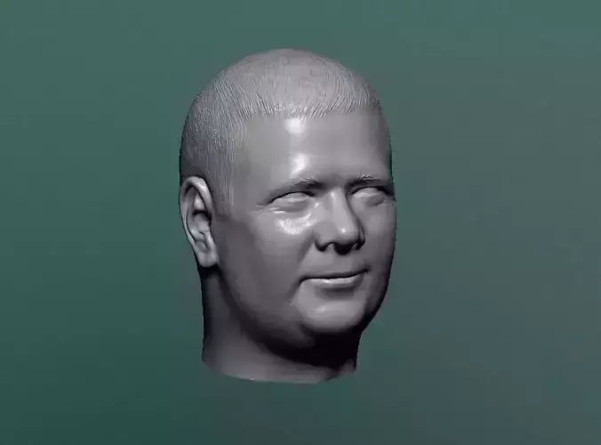 Head 79 3D print model