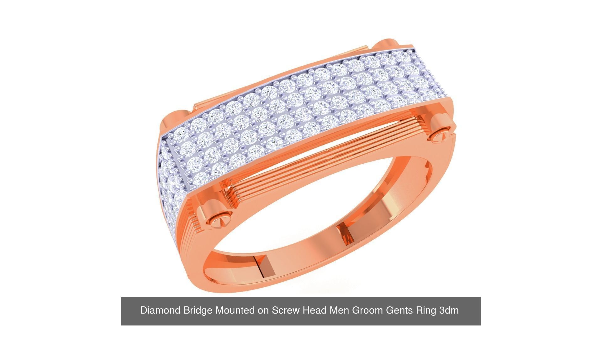 110 Screw Head Jewelry Models Collection _132