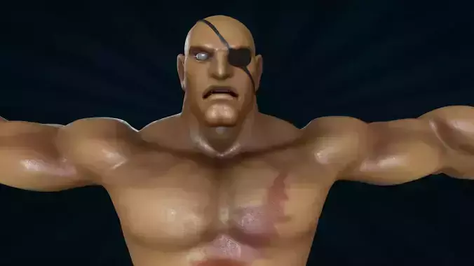 SAGT-001 Rigged Sagat