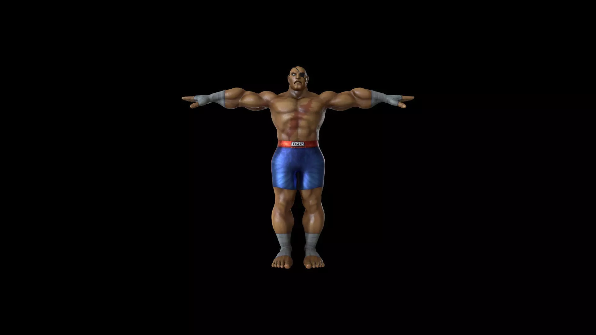 SAGT001 Rigged Sagat 3D model_0