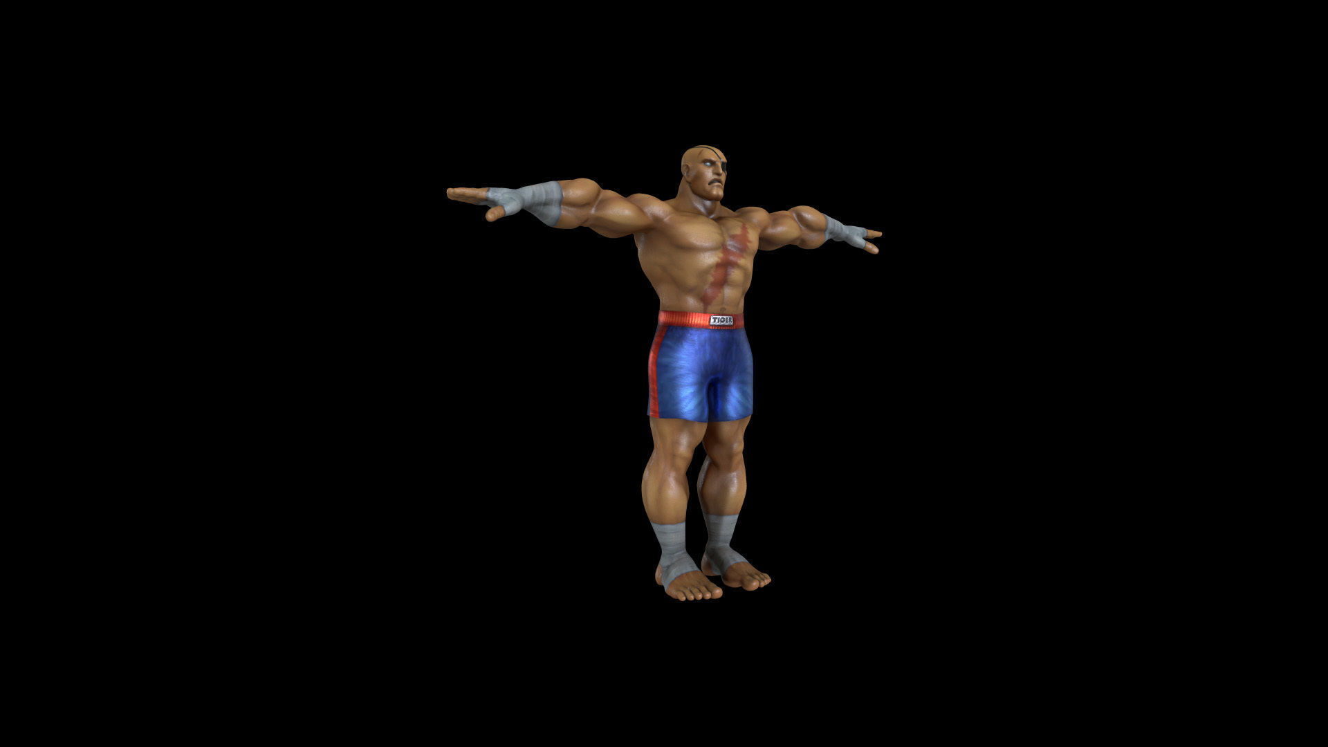 SAGT001 Rigged Sagat 3D model_6