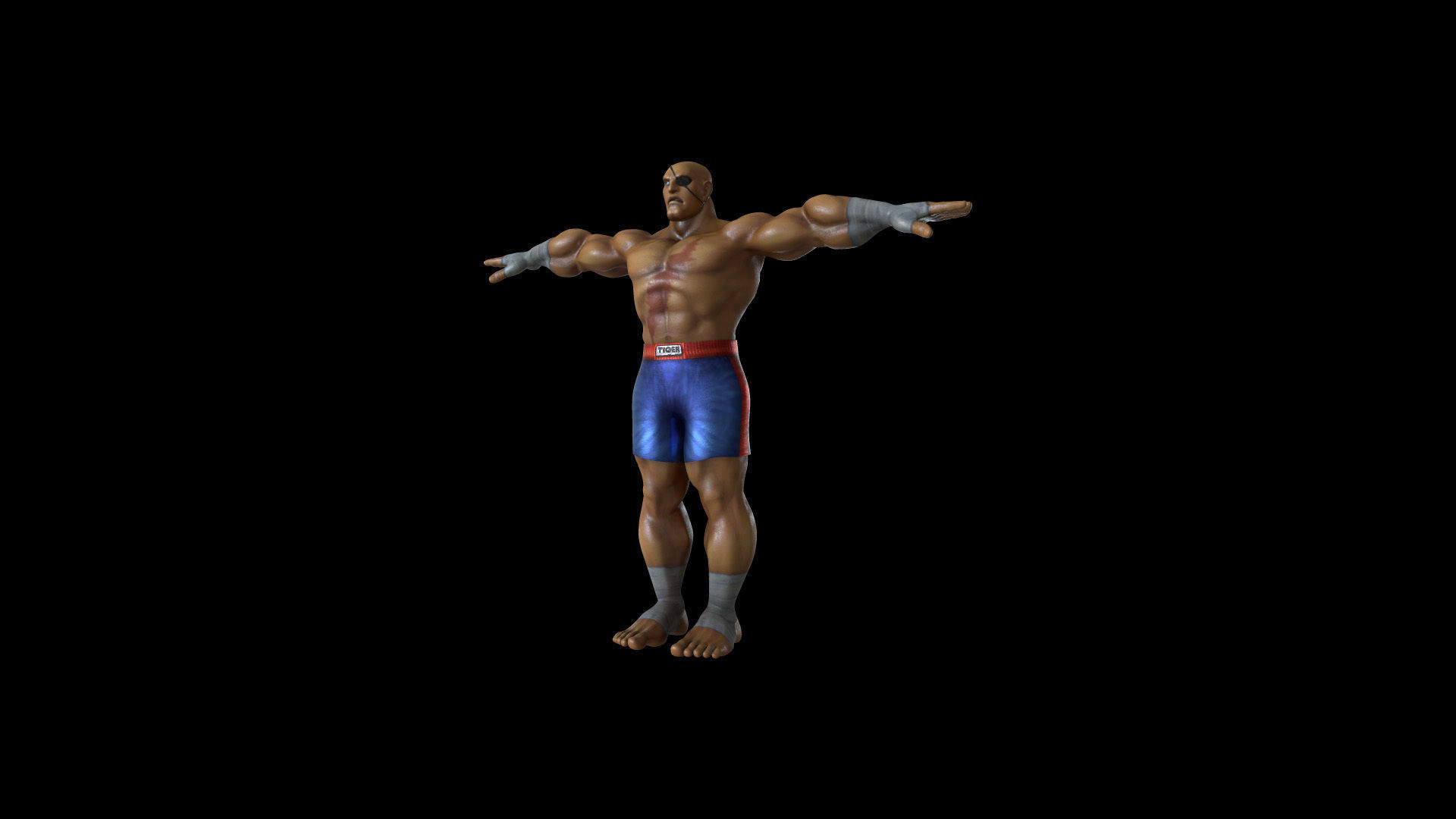 SAGT001 Rigged Sagat 3D model_7