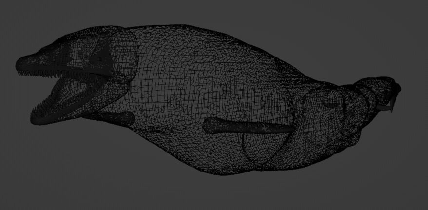 Basilosaurus isis 3D model_2