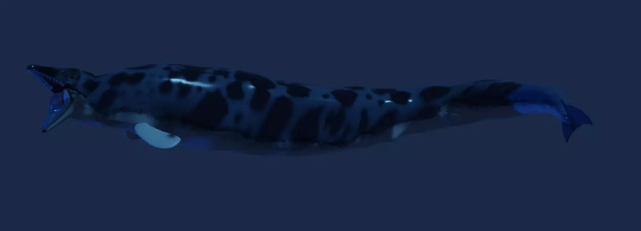 Basilosaurus isis 3D model_0