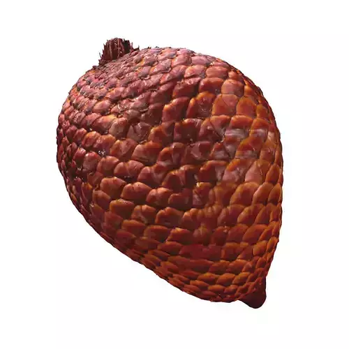 SALAK