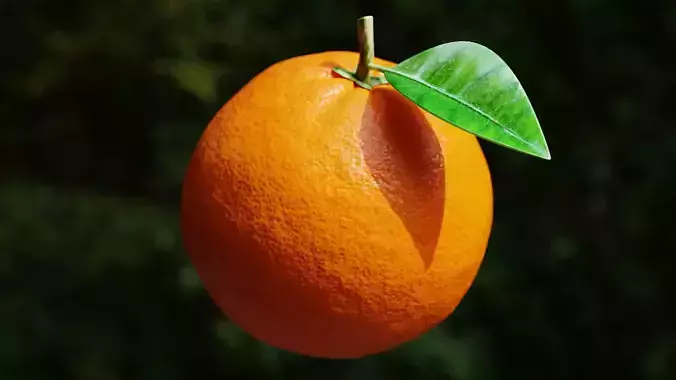 Procedural Orange Fruit with Leaf - Photoreal 3D Model 3D model